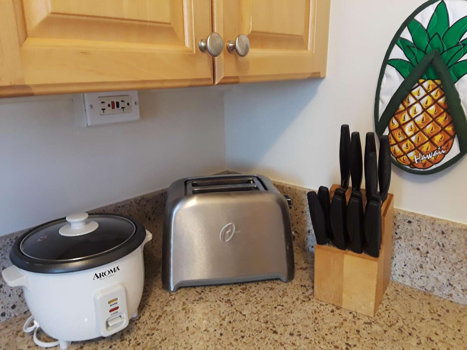 Rice Cooker & Toaster