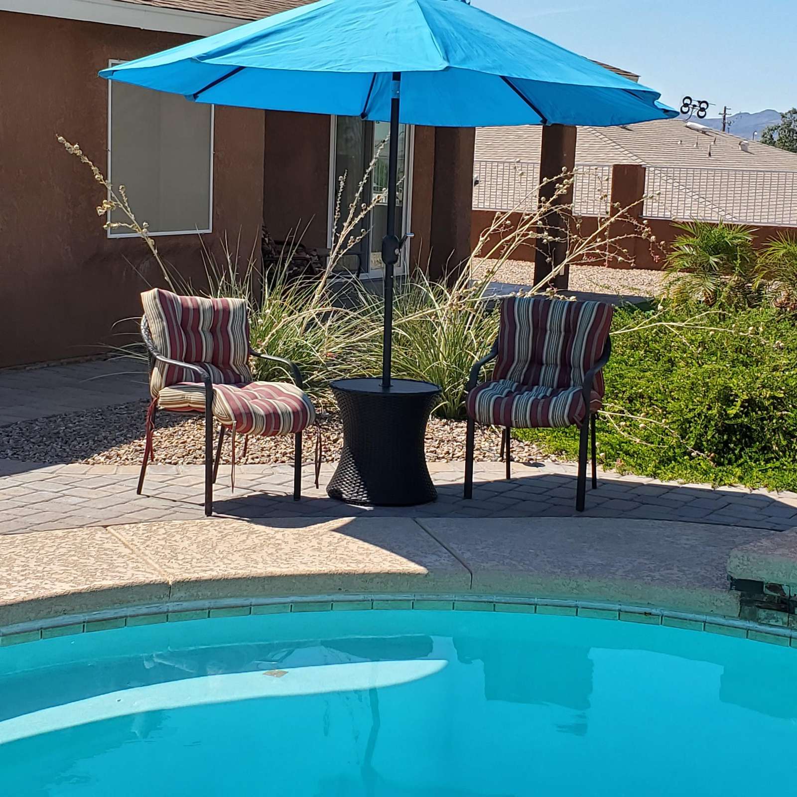 Chill in the shade
