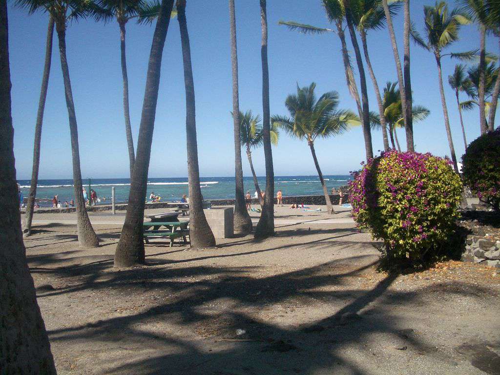 Enjoy world class snorkeling and diving at the Kahalu'u Beach Park.