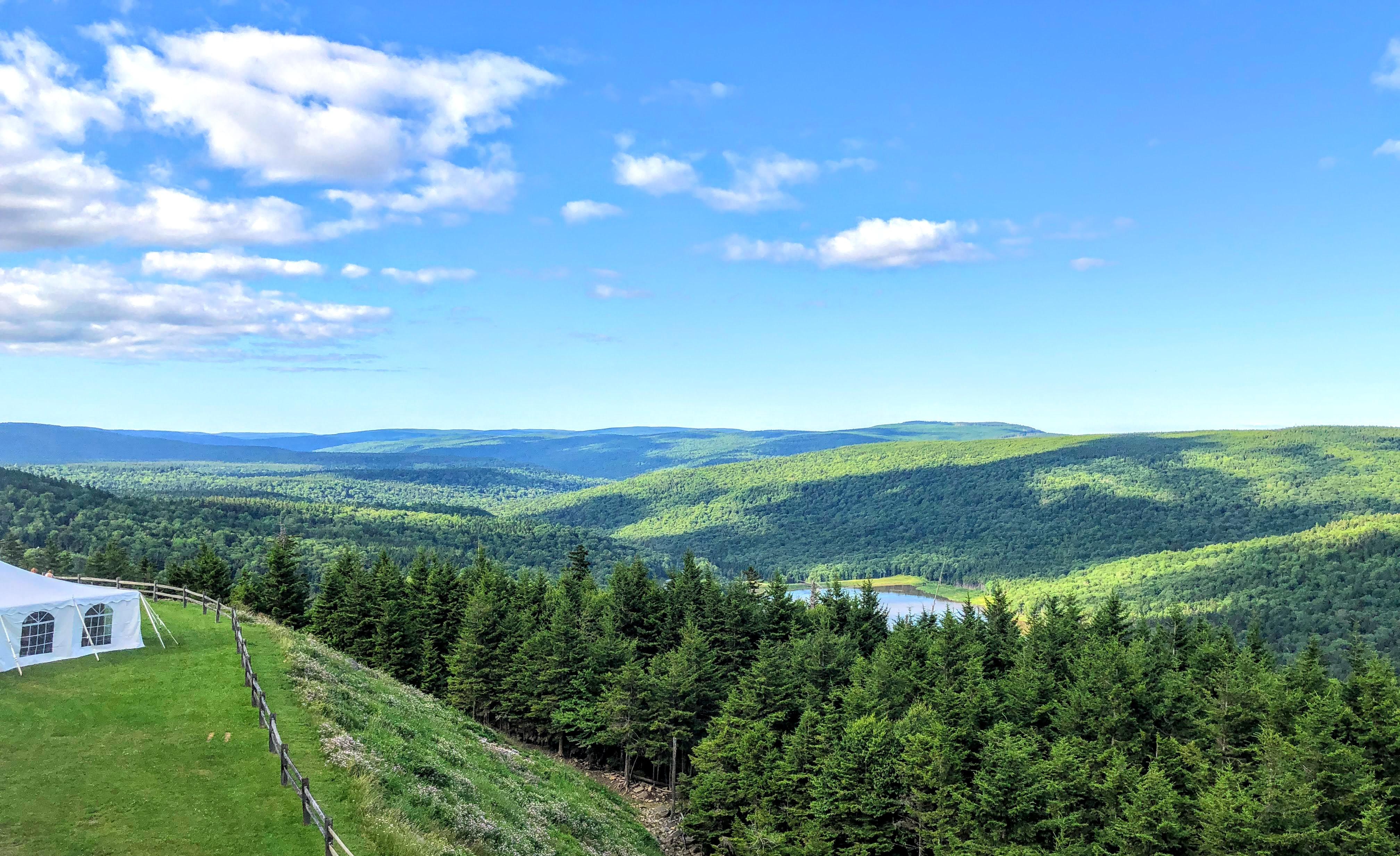 Actual view from the balcony of Mountain Lodge 294!