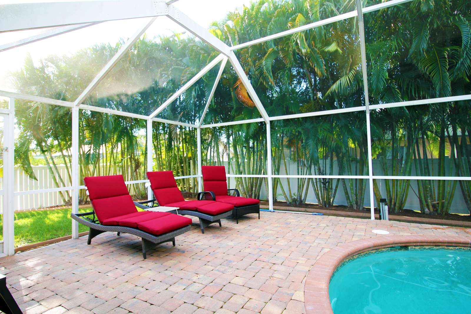 Relax on the lounger