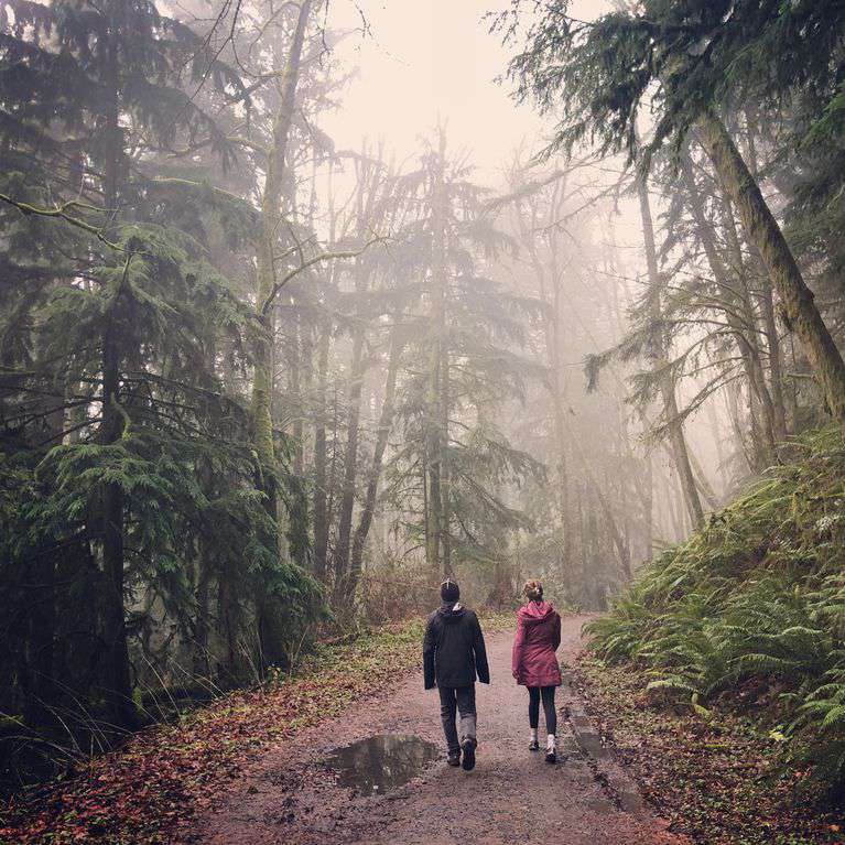 Forest Park is in the city and offers gorgeous hiking. Peaceful bliss.