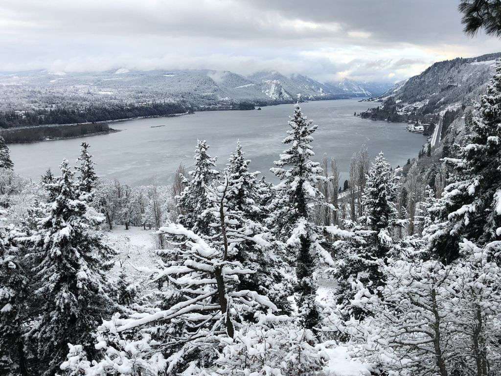 The Columbia Gorge, a 1 hr drive, is breath taking. We have suggestions for you.