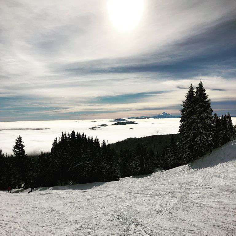 If you enjoy skiing Meadows, Timberline, Ski Bowl & Coopers Spur are all fun.