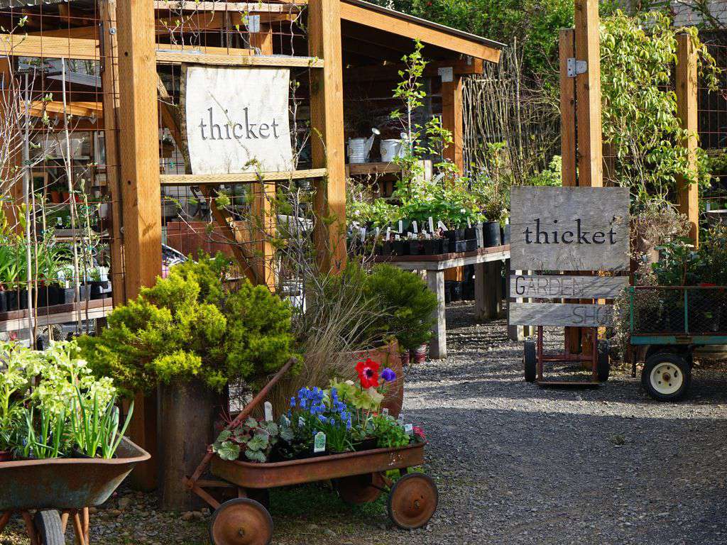 If you are a fan of native plants be sure to visit Thicket, this sweet nursery.