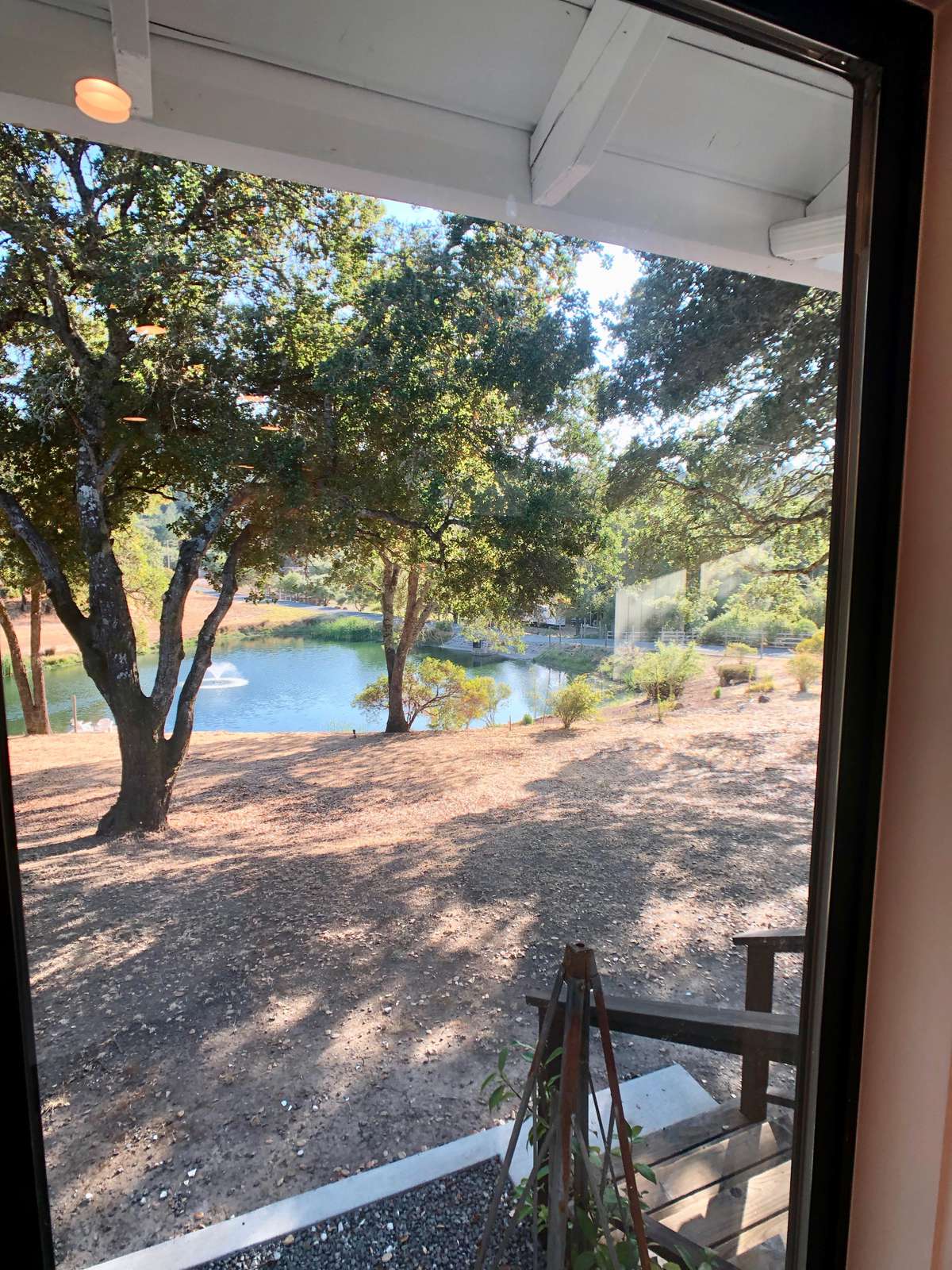View From Dining Area