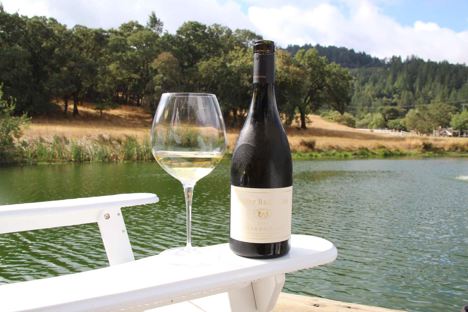 Wine by the Pond