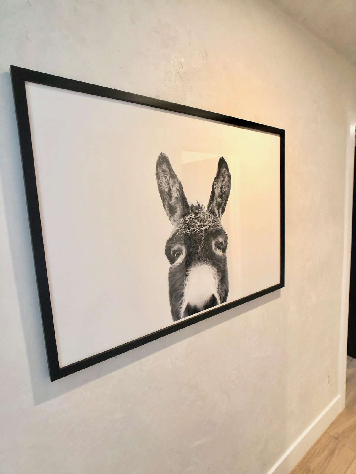Peeking Donkey