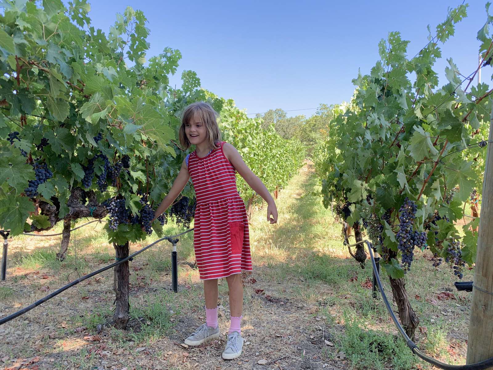 Our Future Wine Maker???