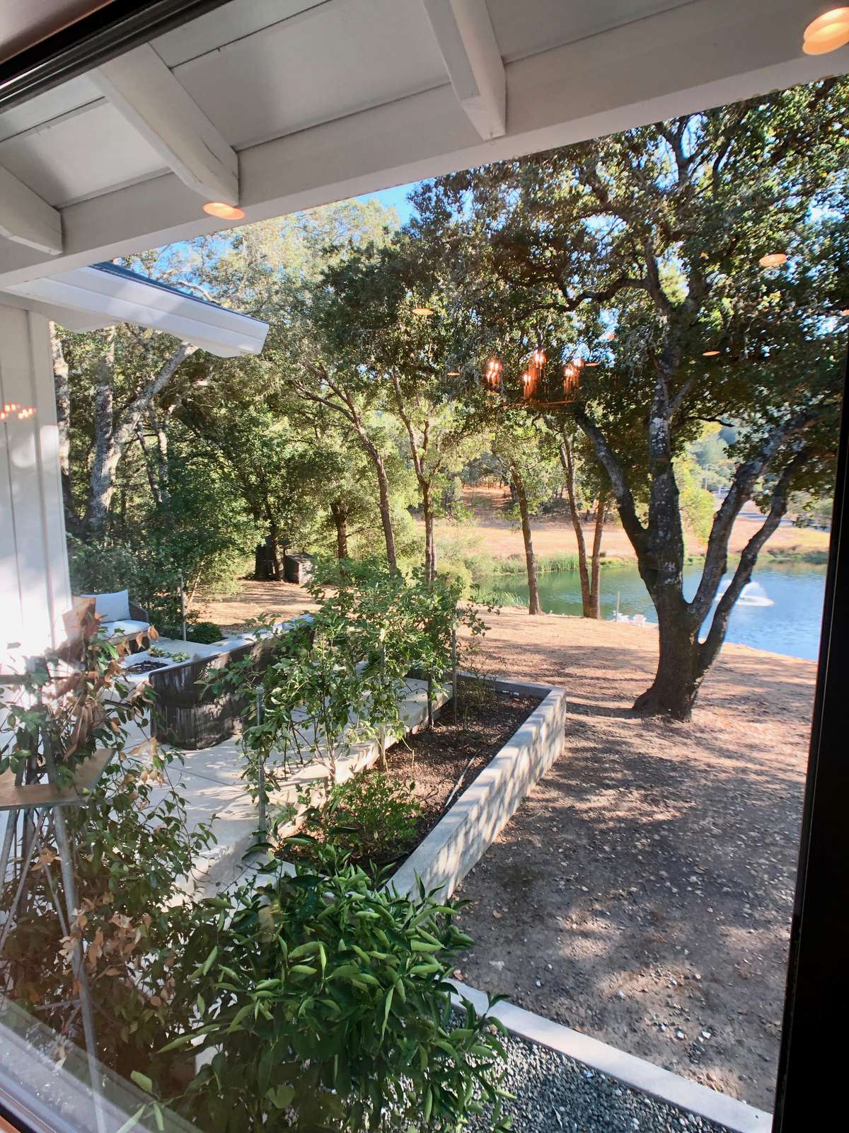 View From Dining Area