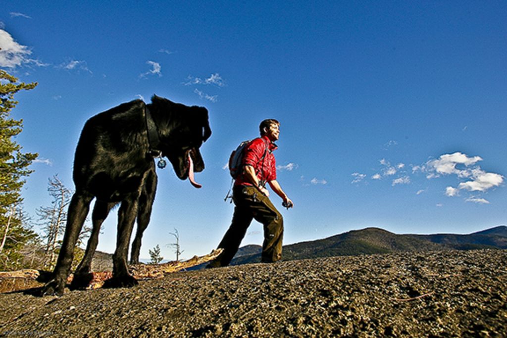 Hike the mountains! Whiteface is just 2 mi. from the home.