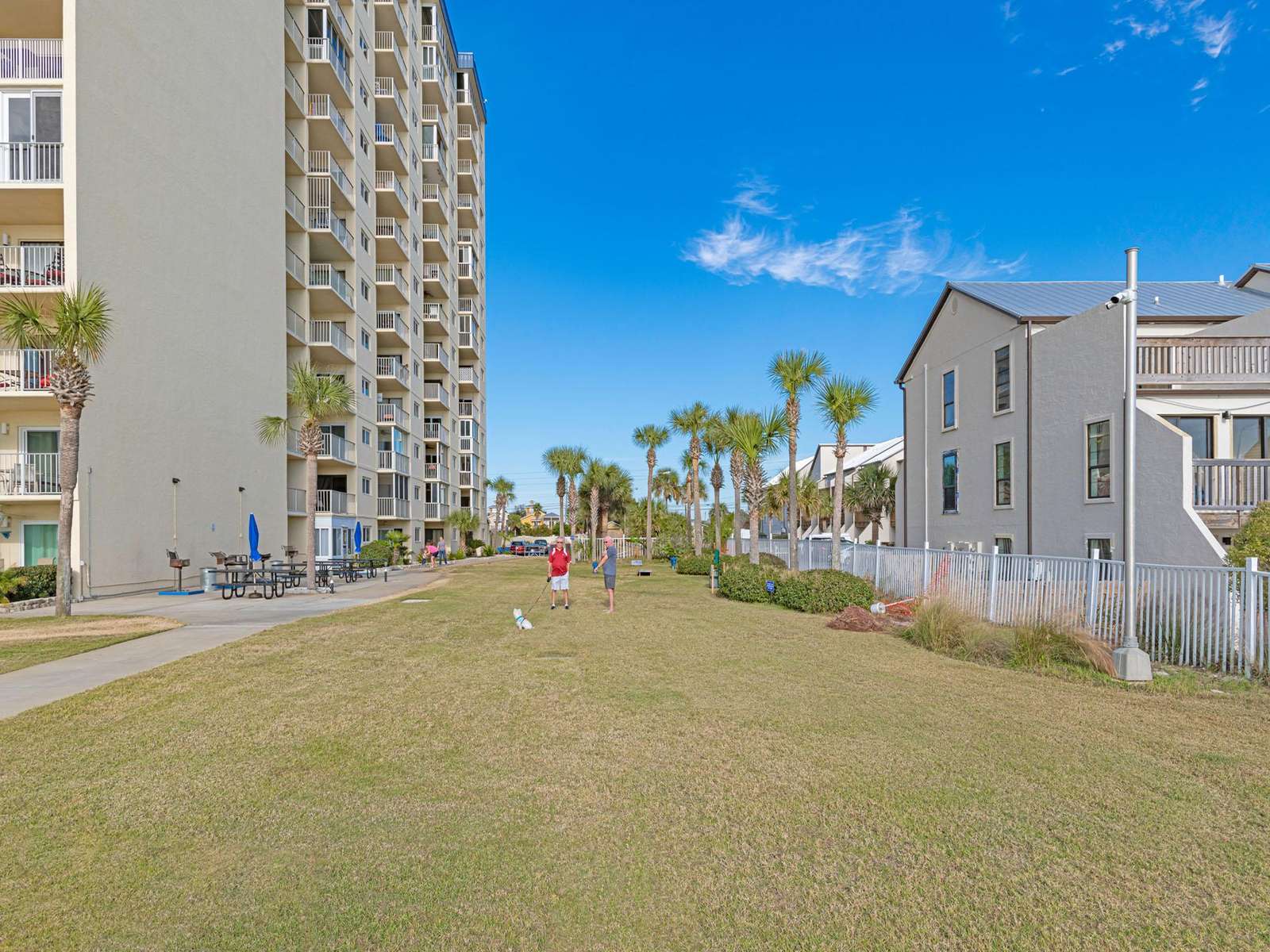Grill out on charcoal grills or play Corn Hole!