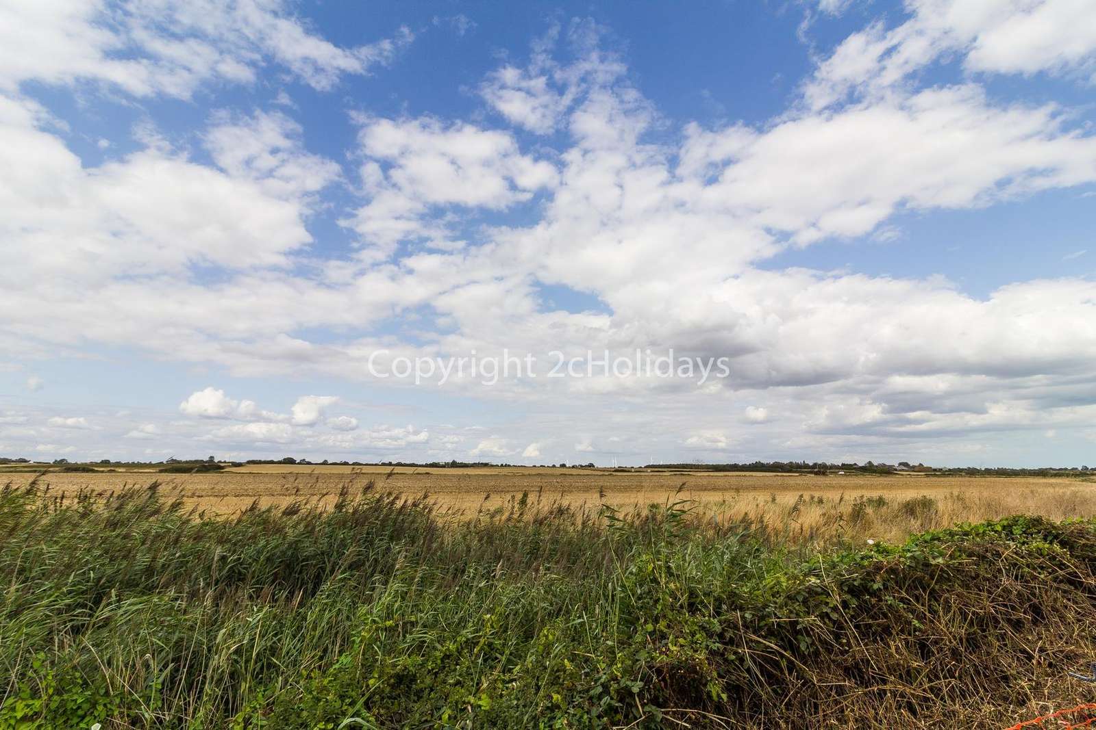 Stunning field views!