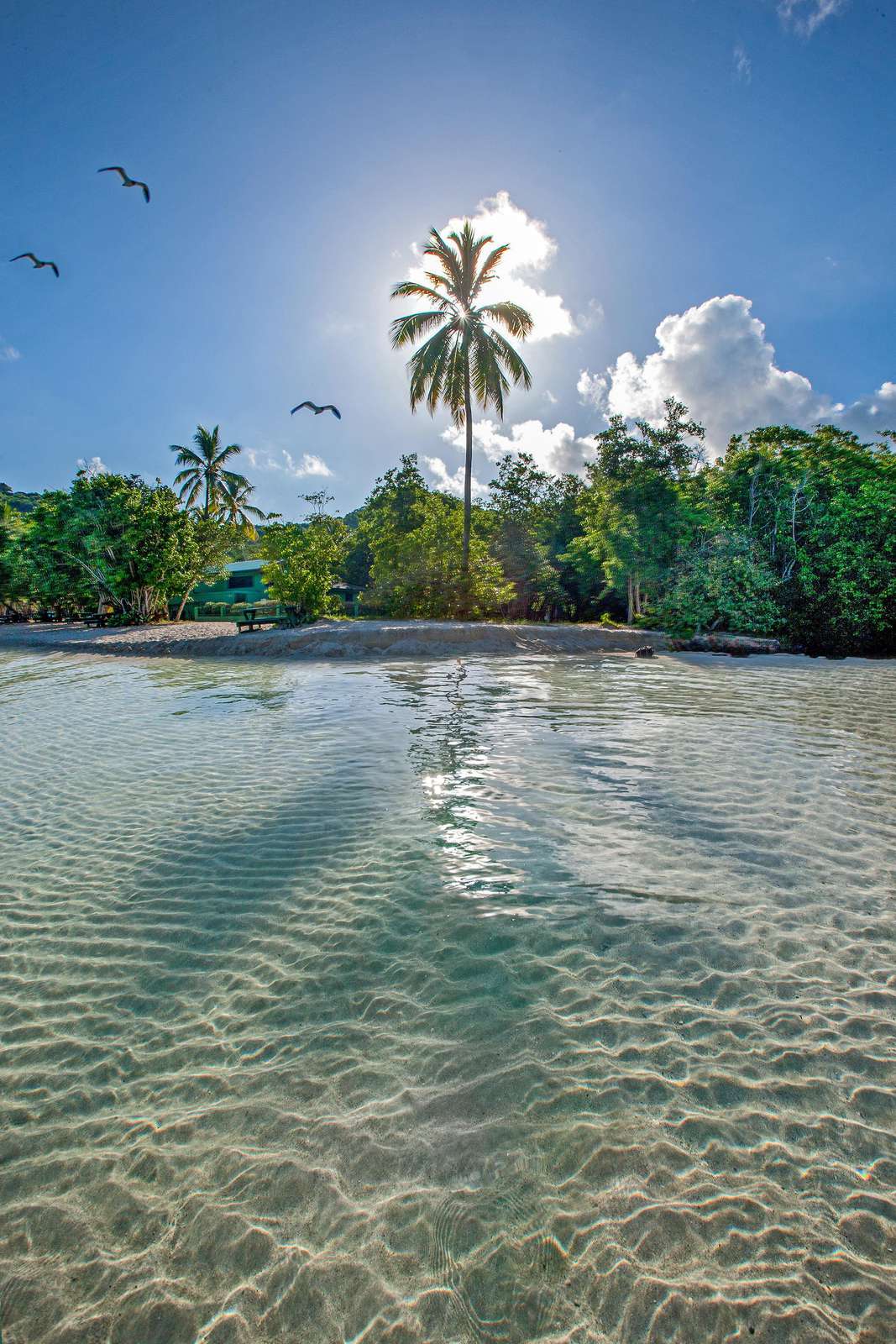 Unwind and enjoy life