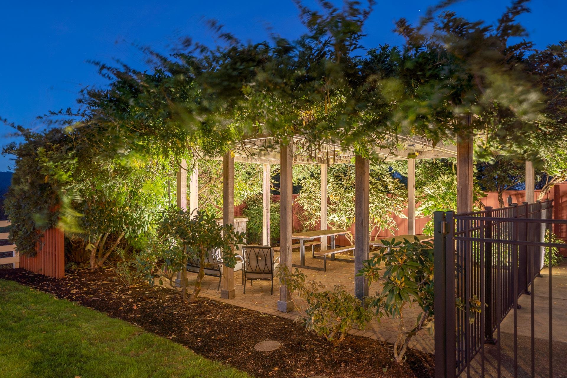 Pergola at sunset hour.