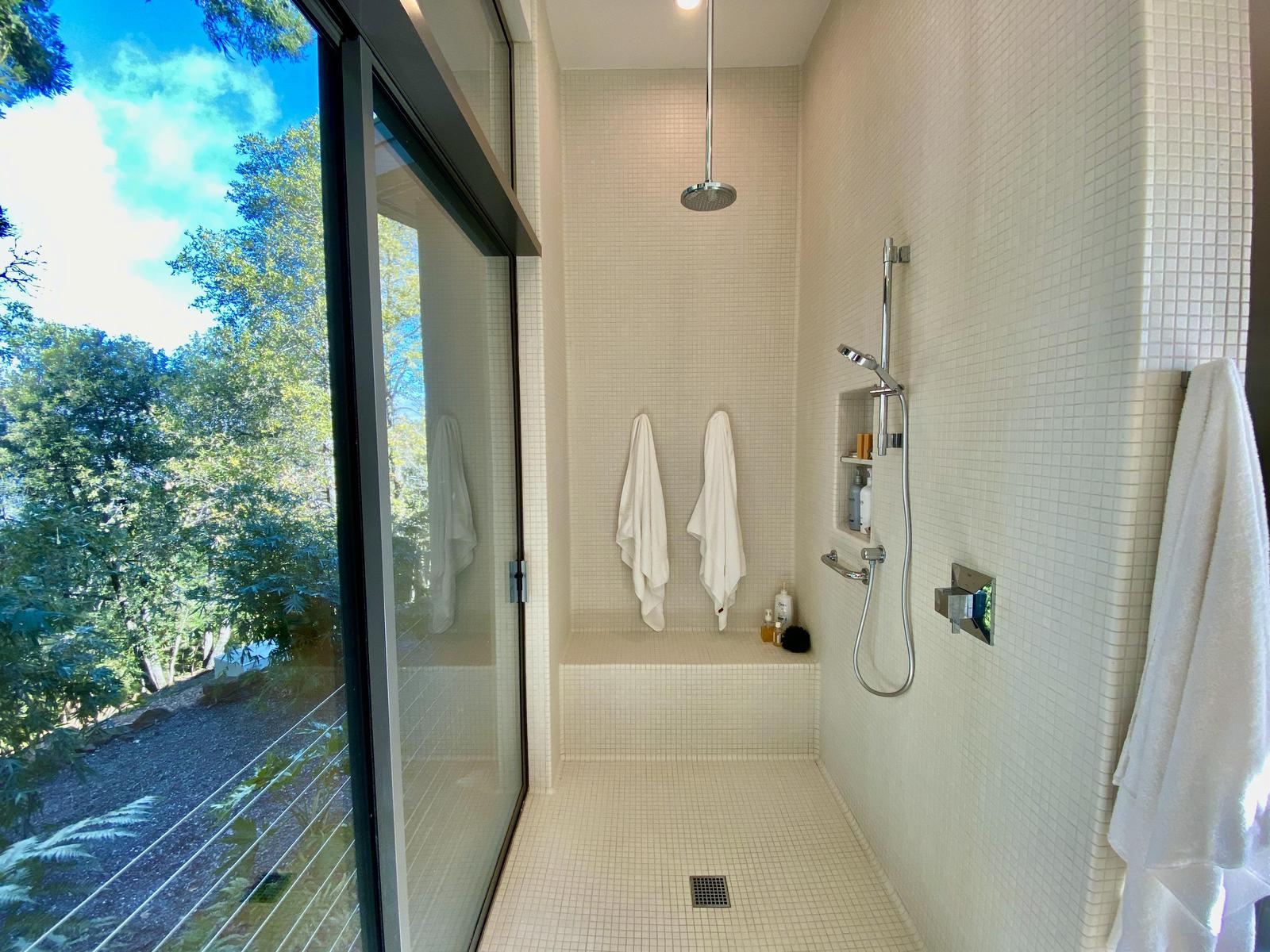Master Shower