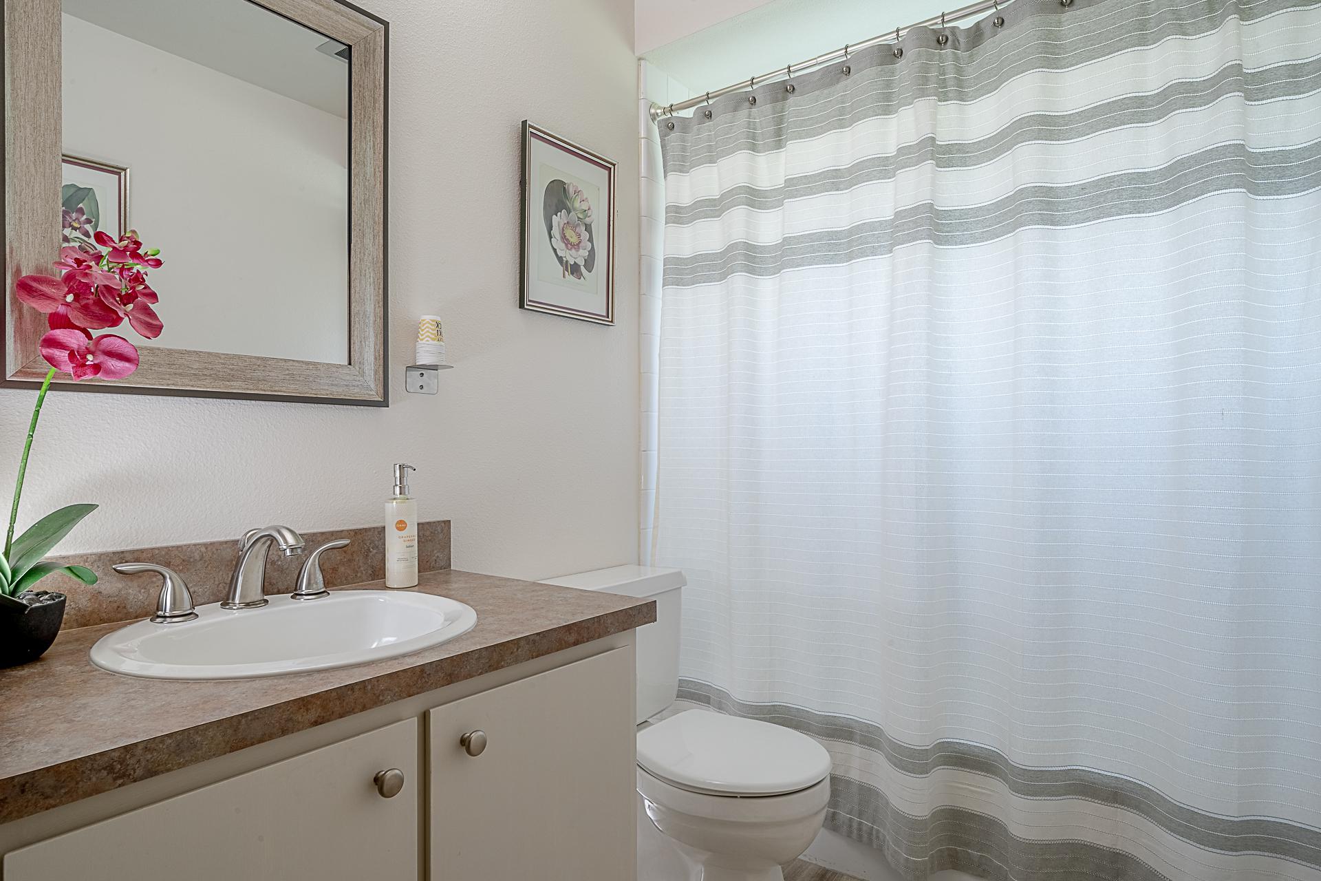 Hall Bathroom - Tub & Shower