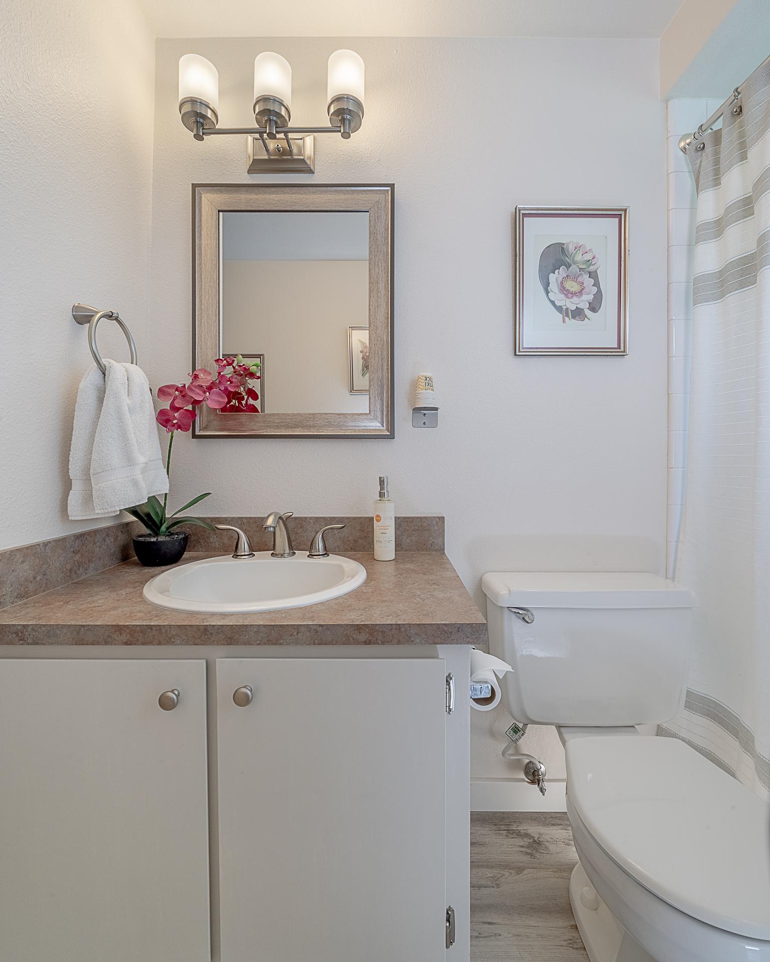 Hall Bathroom - Soft lighting - Hair Dryer Available