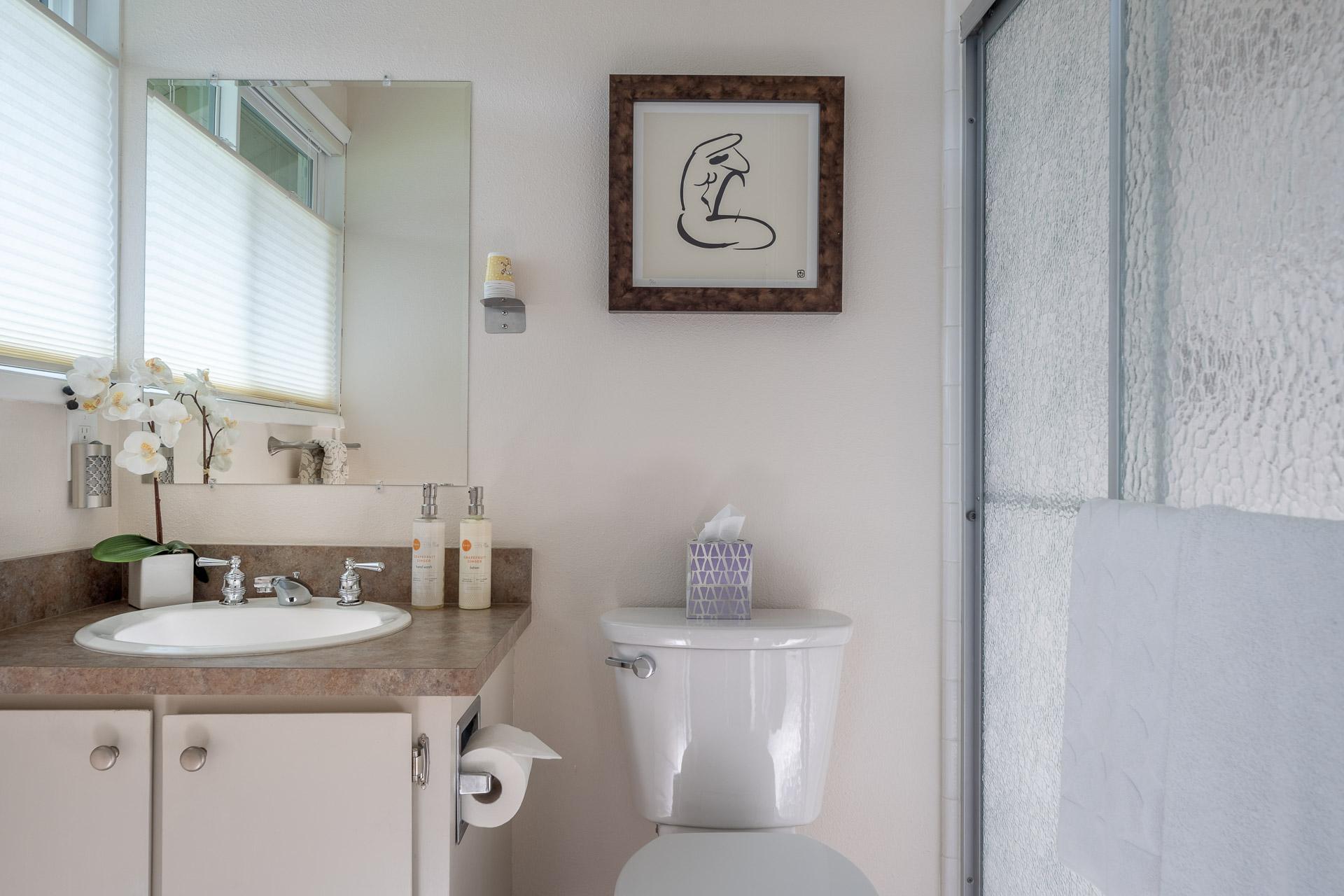 Master Bathroom Step-In Shower