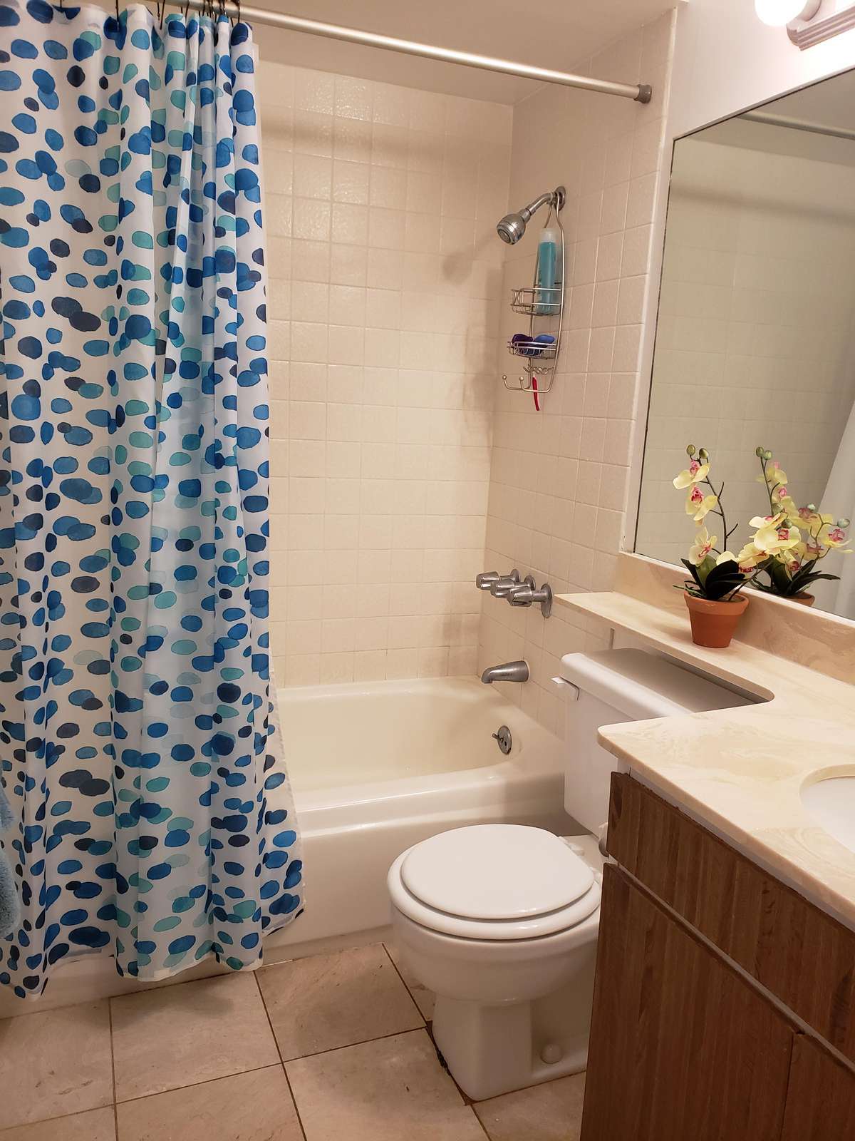 Full Bath with Tub and Shower