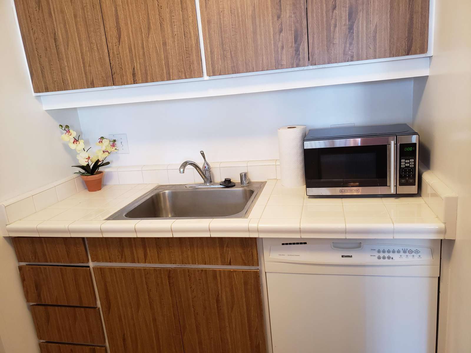 Dishwasher and Microwave