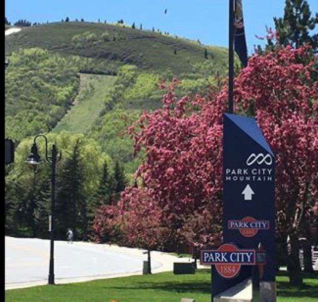 Spring at PCMR
