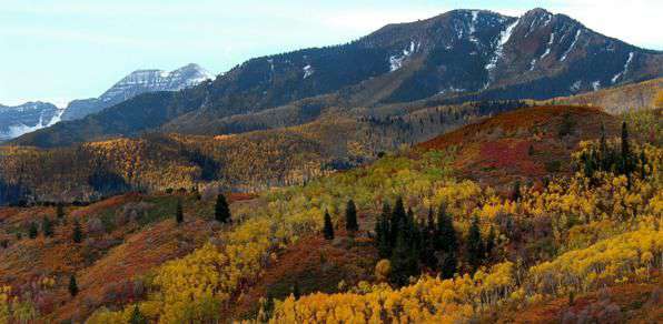 Fall colors on Utah mountains