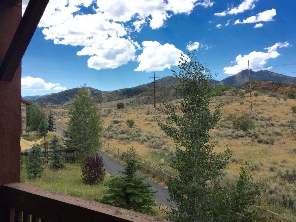 View from condo's deck of Olympic park and walking,biking trail
