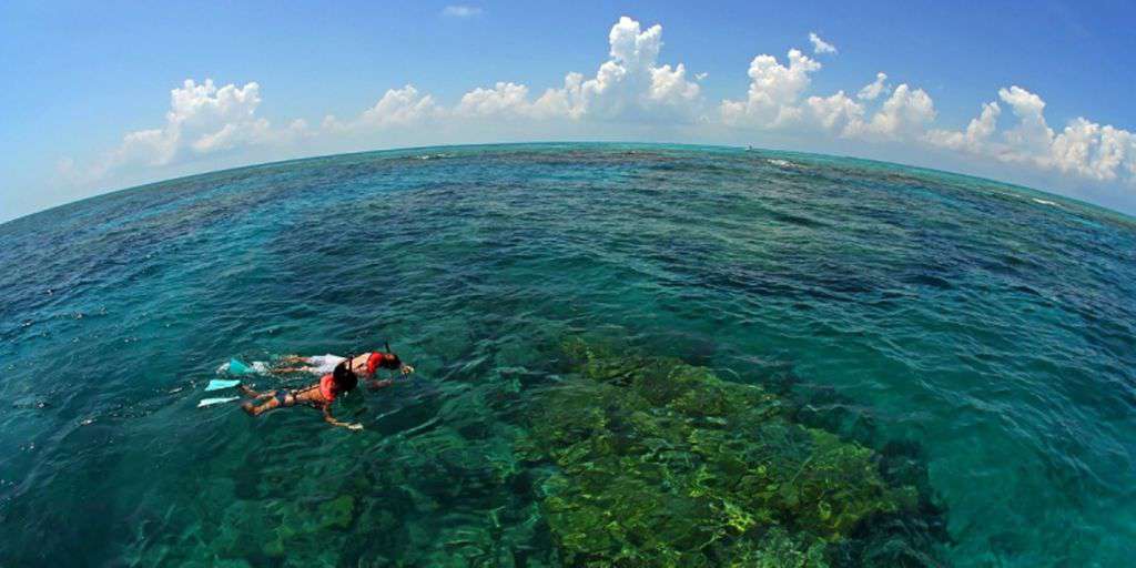 Snorkeling on our Reefs are second to none let us help you plan your adventure