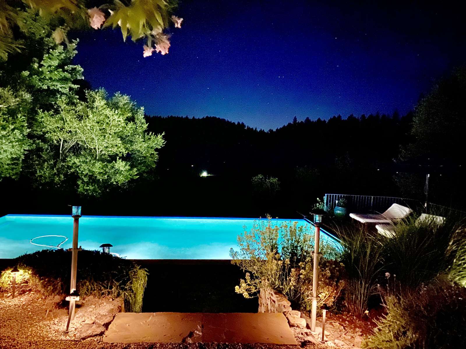 Evening swim?