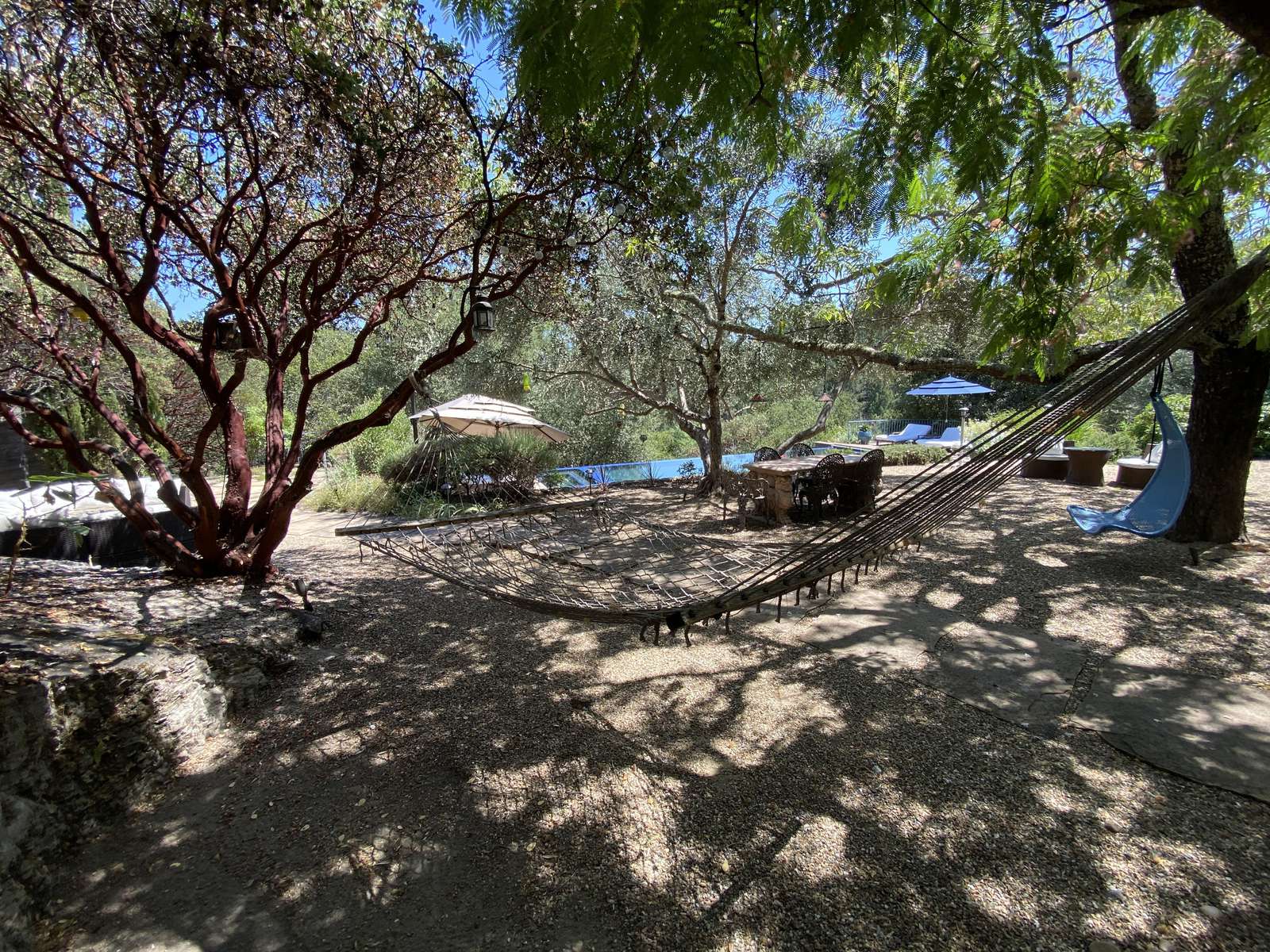 The hammock in the olive grove