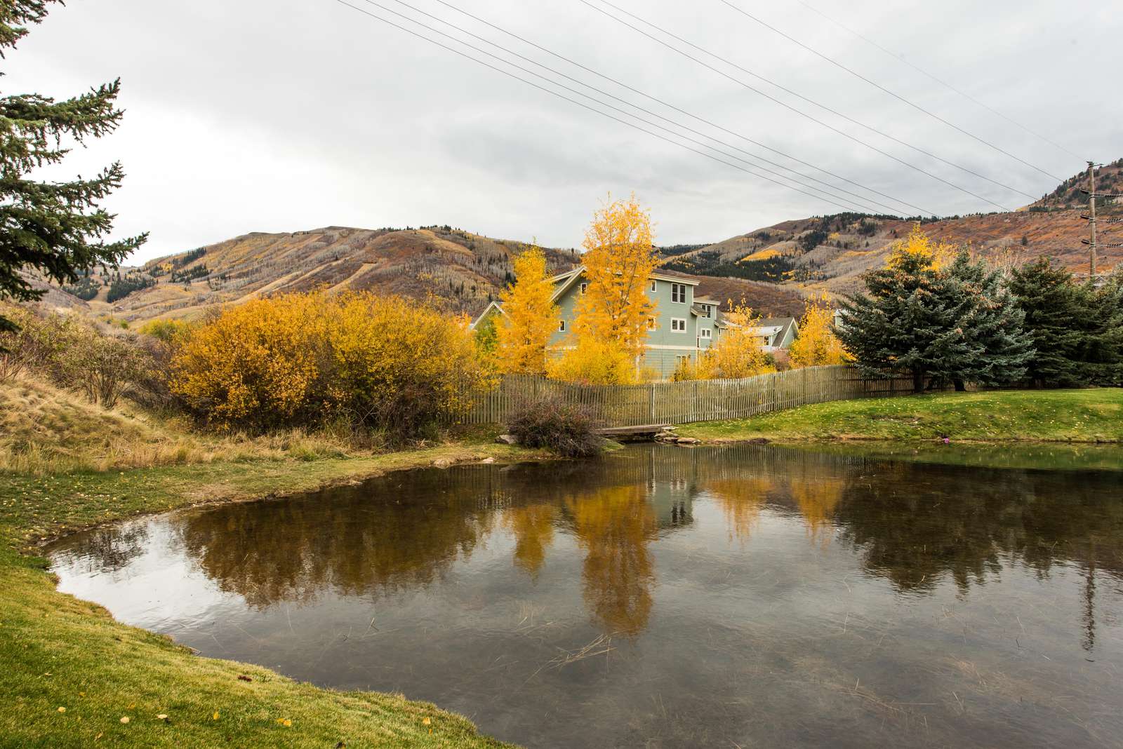 Beautiful fall colors adorn the backyard pond