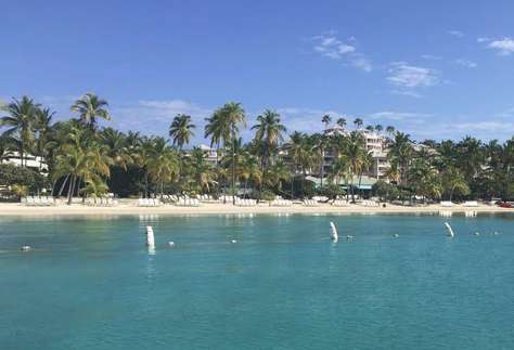 Breathtaking Palm Tree Lined Beach!