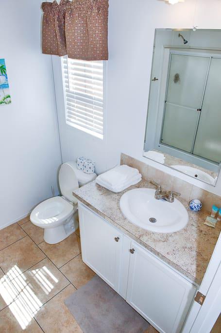 Master Bath with Bathroom Amenities