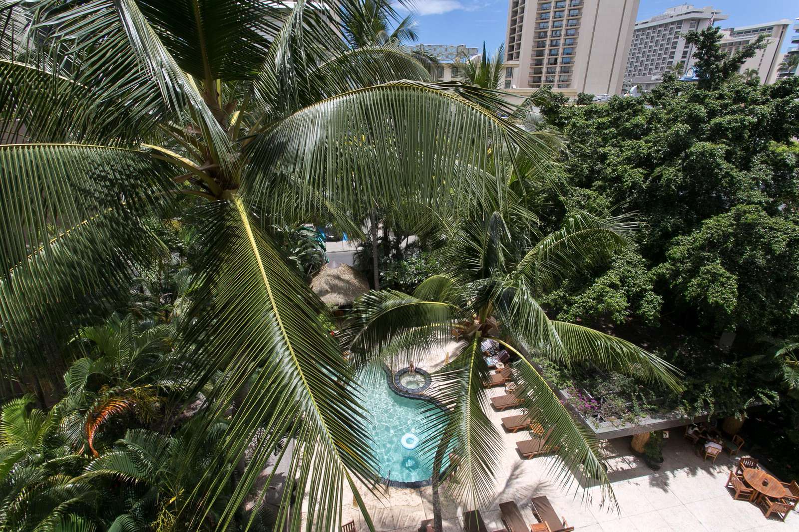 The Bamboo Hotel's lush pool area