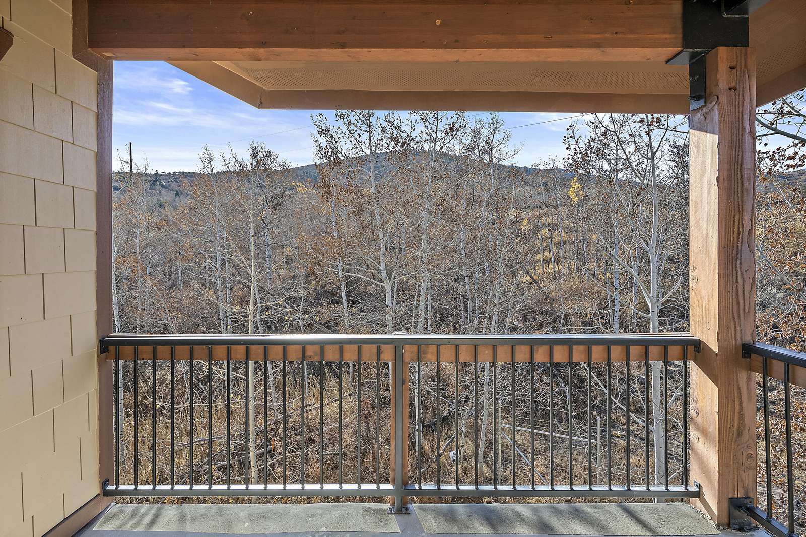 Deck overlooks trees and mountains