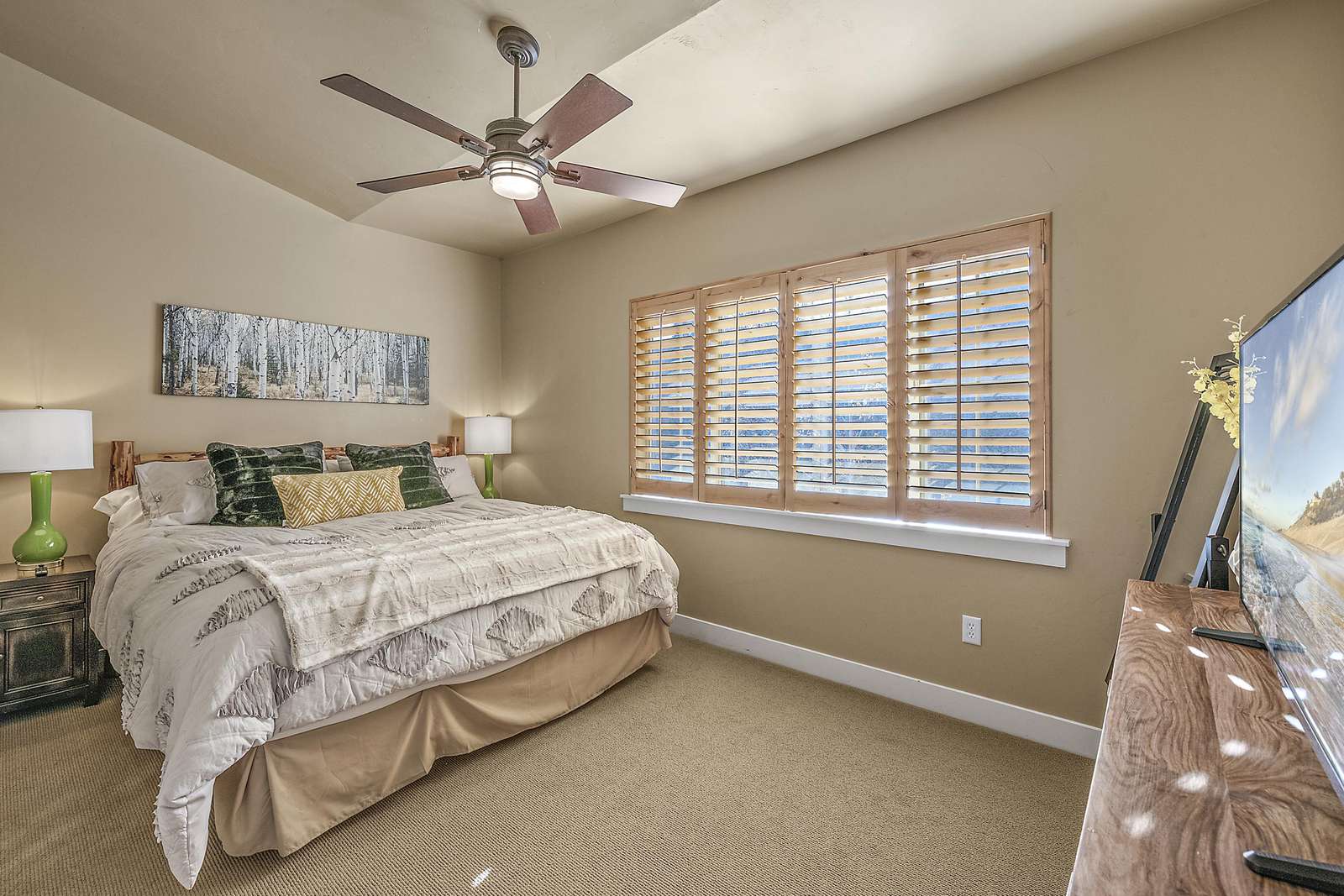 Master bedroom with personal dresser, closet, and TV