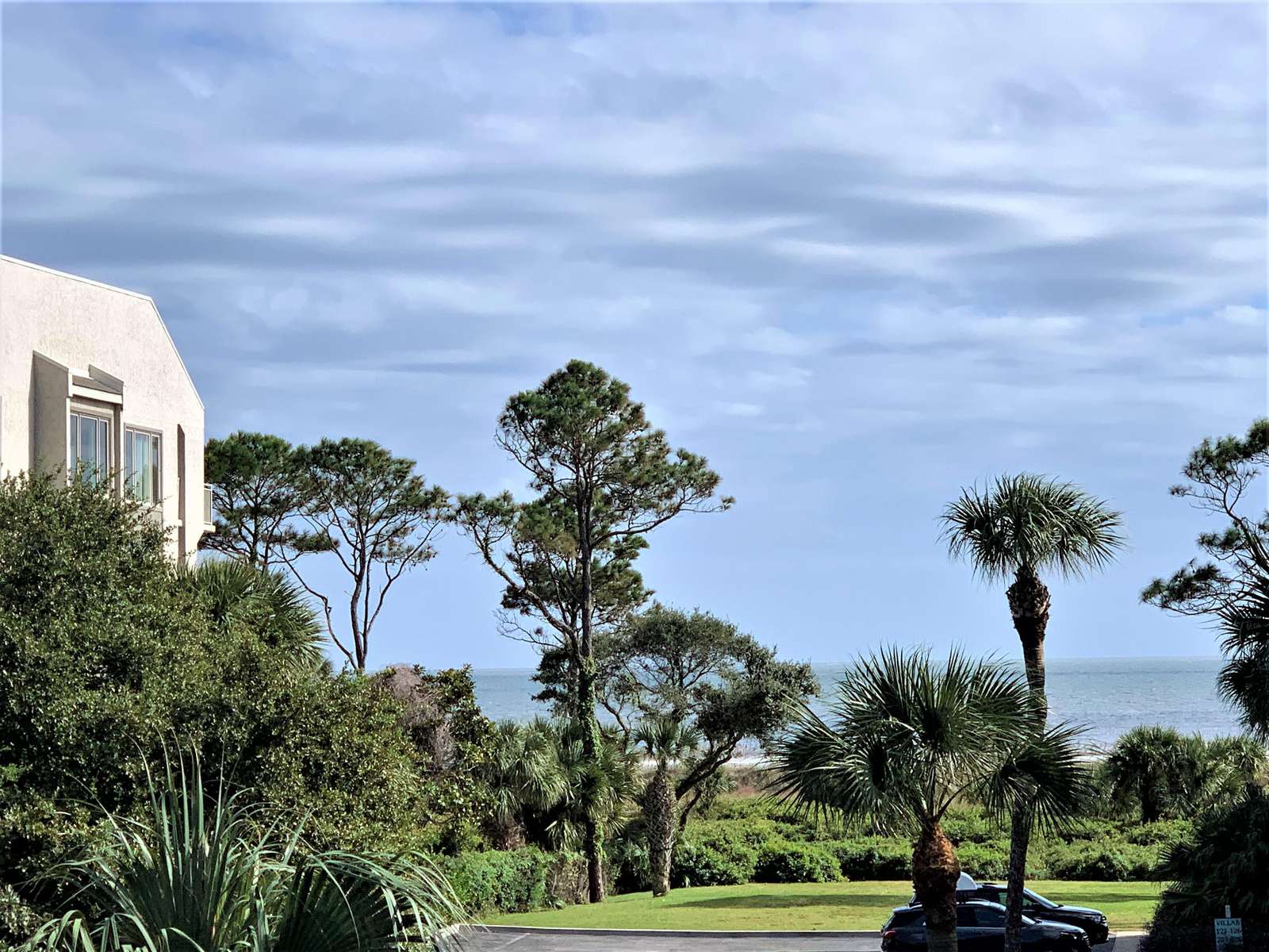 View from Deck