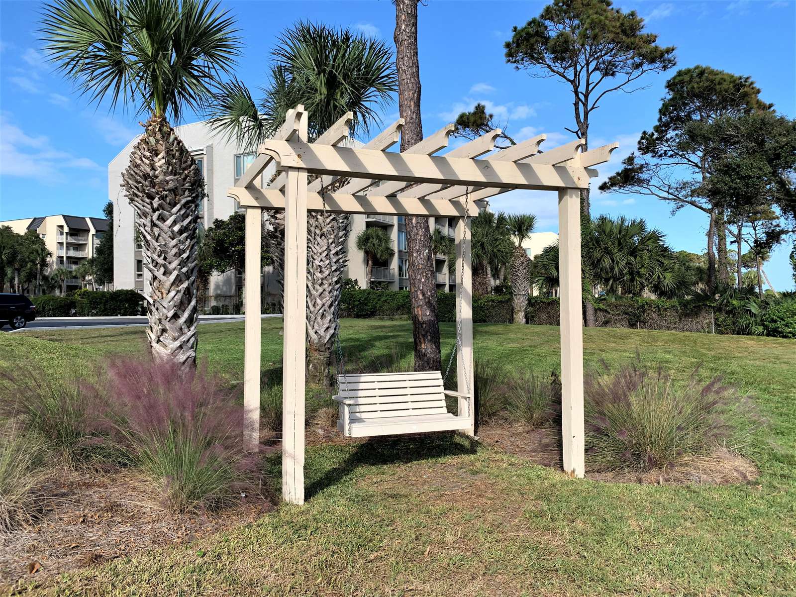 Swing with Ocean breezes