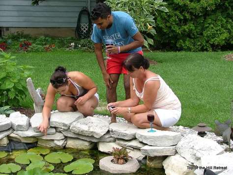 Checking Pond Life