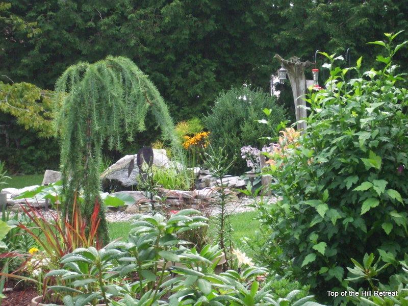 Gardens & Pond